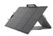 Комплект портативна зарядна станція EcoFlow DELTA Max(1600) + 2 сонячні панелі 220W Solar Panel